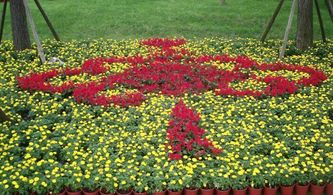 中企盟发布成都花卉盆栽租赁公司品牌排行榜 花卉租赁市场迎来新标杆