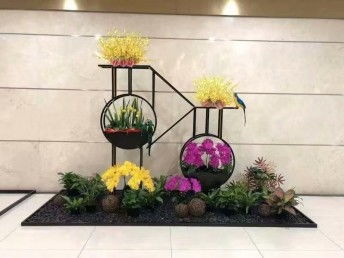图 花卉出租深圳绿植租摆深圳租花盆栽租赁养护批发绿化养护开业花篮 深圳鲜花绿植